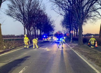 Engelbostel: Baum nach Verkehrsunfall entfernt – Verkehrsfluss wiederhergestellt Ortsfeuerwehr Engelbostel schon früh im Einsatz.