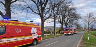 Heckenbrand in Kaltenweide schnell unter Kontrolle.