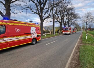 Heckenbrand in Kaltenweide schnell unter Kontrolle Heckenbrand in Kaltenweide schnell unter Kontrolle.