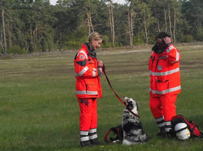 Rettungshundeteams stellen sich Prüfung in Hannover