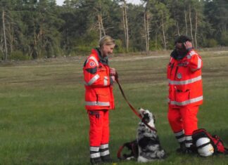 Rettungshundeteams stellen sich anspruchsvoller Prüfung in Hannover Rettungshundeteams stellen sich Prüfung in Hannover
