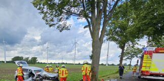 Schwerer Verkehrsunfall zwischen Sievershausen und Schwüblingsen: PKW prallt gegen Baum - Fahrer und Kind lebensgefährlich verletzt