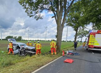 Schwerer Verkehrsunfall bei Sievershausen: Zwei Personen lebensgefährlich verletzt Schwerer Verkehrsunfall zwischen Sievershausen und Schwüblingsen: PKW prallt gegen Baum - Fahrer und Kind lebensgefährlich verletzt