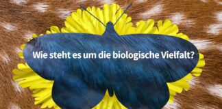 Poster Biodiversität / NABU