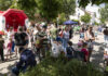 Wiesenau Fruehlingsfest (2024)