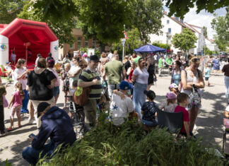 Frühling, Vielfalt und Respekt: Wiesenau lädt zum bunten Fest für alle Generationen ein Wiesenau Fruehlingsfest (2024)