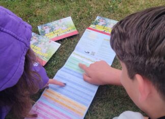 Noch freie Restplätze im Sommerferienprogramm 2025 Sommerferienprogramm „Mach doch was du willst“ 2025.