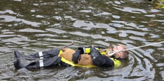 Reh in Not: Feuerwehr Celle rettet Tier aus Rückhaltebecken Spezialausrüstung und Geduld führen zum erfolgreichen Rettungseinsatz