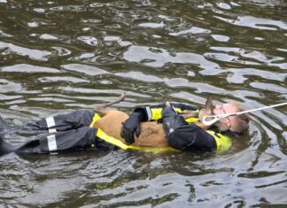 Reh in Not: Feuerwehr Celle rettet Tier aus Rückhaltebecken Reh in Not: Feuerwehr Celle rettet Tier aus Rückhaltebecken Spezialausrüstung und Geduld führen zum erfolgreichen Rettungseinsatz