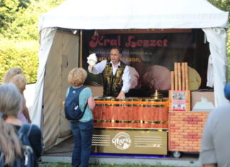 Kleines Fest 2025: Wandel mit Weitblick in Herrenhausen Eis Ali beim Kleinen Fest in Herrenhausen