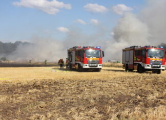 Großbrand auf Feld in Osterwald – Ballenpresse löst Feuerwehreinsatz mit über 100 Kräften aus Ballenpresse und Stoppelfeld stehen in Flammen
