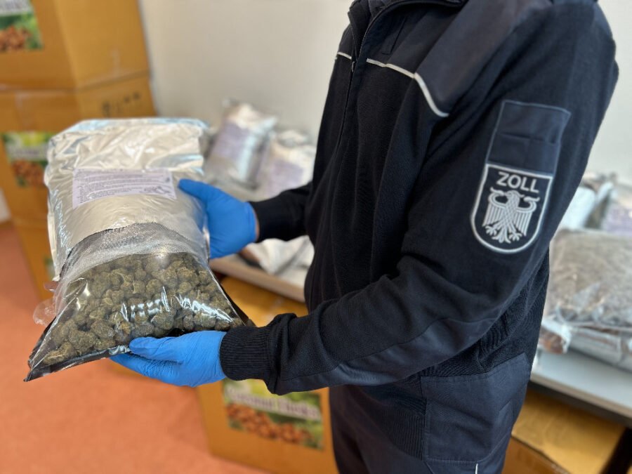 zöllner hält sichergestelltes cannabis in den händen