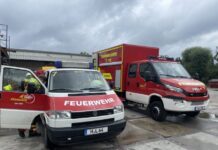 Feuerwehreinsatz wegen störrischem Storch – gefiederter „Patient“ fliegt einfach davon Lehrte: Storch lehnt Rettung ab