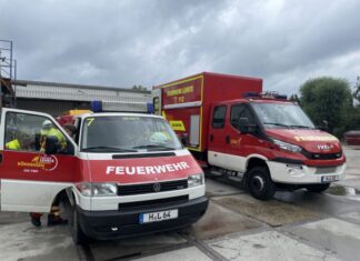 Feuerwehreinsatz wegen störrischem Storch – gefiederter „Patient“ fliegt einfach davon Lehrte: Storch lehnt Rettung ab