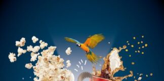 Open-Air-Kino Erlebnis-Zoo Hannover