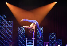 Von Weihnachtscircus bis Wintervarieté – ein Fest der Sinne für die ganze Familie Das GOP Varieté Hannover bietet ein facettenreiches Programm. Beim traditionellen Wintervarieté in der Orangerie Herrenhausen bringt das Haus mit "Sentimientos" in diesem Jahr das Feuer Spaniens auf die Bühne.