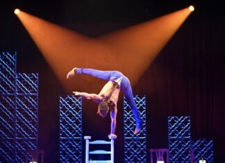 Von Weihnachtscircus bis Wintervarieté – ein Fest der Sinne für die ganze Familie Das GOP Varieté Hannover bietet ein facettenreiches Programm. Beim traditionellen Wintervarieté in der Orangerie Herrenhausen bringt das Haus mit "Sentimientos" in diesem Jahr das Feuer Spaniens auf die Bühne.