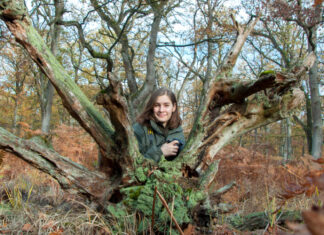 Wunderwelt Totholz: Vortrag zeigt faszinierende Lebensräume im Wald Vortrag »Wunderwelt Totholz - Faszinierende Lebensräume im Wald«
