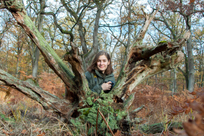 Vortrag »Wunderwelt Totholz - Faszinierende Lebensräume im Wald«