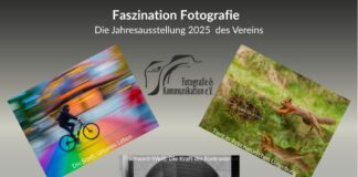 Faszination Fotografie Die Jahresausstellung 2025
