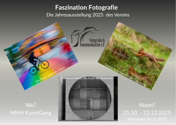 Faszination Fotografie Die Jahresausstellung 2025