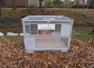 Stadt Langenhagen optimiert Laubkorb-Angebot mit digitaler Standortkarte Laubkorb in Langenhagen