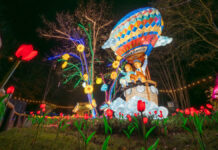 Serengeti-Park startet in die zweite Wintersaison: Faszinierendes Lichterfestival mit neuem Motto und Tierpark-Öffnung Lichterfest 2024/2025 im Serengeti-Park Hodenhagen.