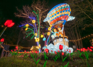 Serengeti-Park startet in die zweite Wintersaison: Faszinierendes Lichterfestival mit neuem Motto und Tierpark-Öffnung Lichterfest 2024/2025 im Serengeti-Park Hodenhagen.