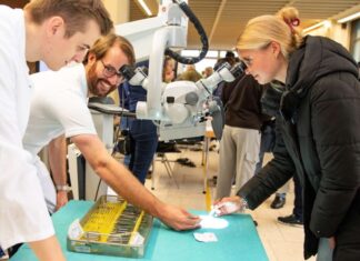Tag der offenen Tür an der MHH begeistert 2.500 Besucherinnen und Besucher Nadel und Faden in der Mikrochirurgie sind winzig klein – Johanna Mein sieht sie sich durch ein Mikroskop an.