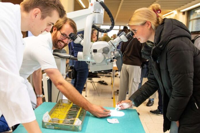 Nadel und Faden in der Mikrochirurgie sind winzig klein – Johanna Mein sieht sie sich durch ein Mikroskop an.