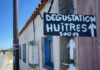 Degustation Huîtres