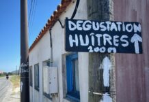 Avec plaisir: ADFC Langenhagen lädt zum Frankreich-Radreise-Vortrag ein Degustation Huîtres