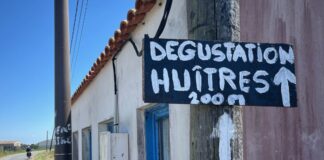 Degustation Huîtres