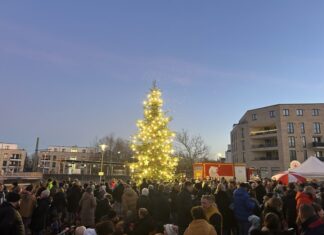 Adventszauber Kaltenweide 2025: Gemeinschaft im Lichterglanz Adventszauber Kaltenweide