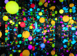 Hannovers Ausstellungserfolg: „Love You for Infinity“ begeistert mehr als 80.000 Besucherinnen und Besucher Hannovers Blockbuster-Ausstellung "Love You for Infinity" im Sprengel Museum verbucht mehr als 80.000 Besucherinnen und Besucher.