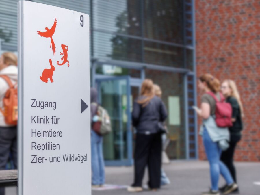 tiho - tag der offenen tür mit führungen durch die kliniken.