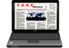 Grafik: Fake-News