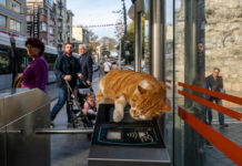 Fotoausstellung „Together in Transit“ von Kristin Peter und Uwe Merker im KunstGang der MHH Foto-Ausstellung "Together in transit" im KunstGang der MHH.