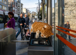 fotoausstellung „together in transit“ von kristin peter und uwe merker im kunstgang der mhh foto-ausstellung "together in transit" im kunstgang der mhh.