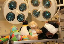 Stofftierklinik im Erlebnis-Zoo Hannover: Hilfe für heisere Drachen Stofftierklinik im Erlebnis-Zoo Hannover