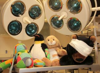 Stofftierklinik im Erlebnis-Zoo Hannover: Hilfe für heisere Drachen Stofftierklinik im Erlebnis-Zoo Hannover