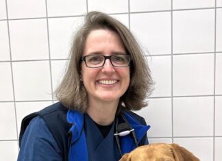 neu an der tiho: sprechstunde für verhaltensmedizin mit claudia richter.