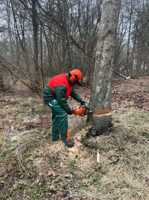 sicherer umgang mit der motorsäge: stadtfeuerwehr wunstorf bildet einsatzkräfte aus