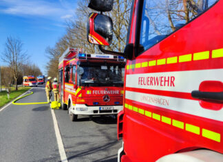 einsatzreiche tage für die feuerwehr langenhagen: brände und hilfeleistungen fordern ehrenamtliche feuerwehreinsatz kaltenweide
