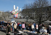 Hannover: Altstadtflohmarkt und Rathaus-Turmauffahrten gehen in Winterpause Flohmarkt Hannover