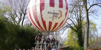 Ein Hoch auf den Saisonstart - das Zoo-Team und die helfenden Unternehmen beim neuen Spielgerät auf der Streichelwiese