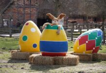 Kunterbunte Osteraktionen im Erlebnis-Zoo Hannover Kunterbunte Ostern im Erlebnis-Zoo Hannover