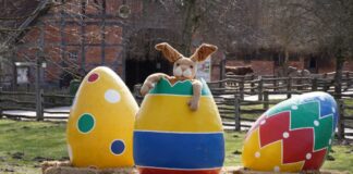Kunterbunte Ostern im Erlebnis-Zoo Hannover