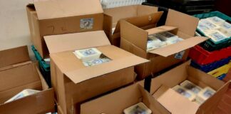 Rund 350 Kilogramm ungekühltes Speiseeis wurden in einem Transporter sichergestellt.