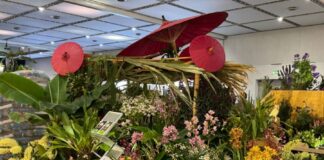 Stand der Herrenhäuser Gärten auf der Welt-Orchideen-Konferenz